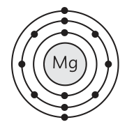 Answer image