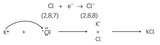 Answer image
