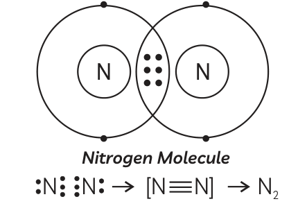 Answer image