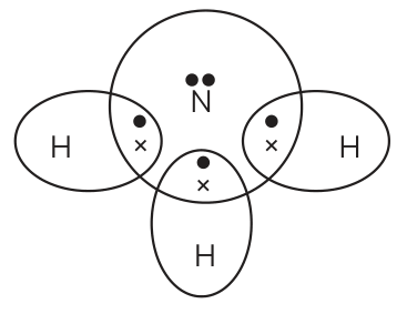 Answer image